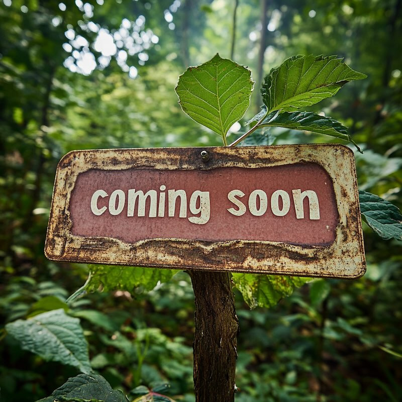 Was ist Kratom?